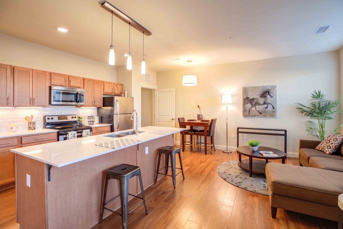 A modern open-concept apartment kitchen and living area with sleek lighting and comfortable seating.