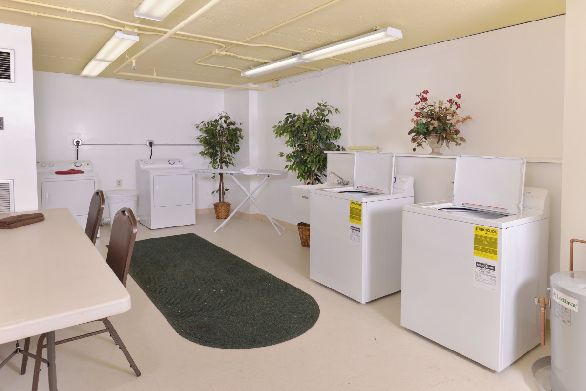 A clean and organized laundry room with washing machines, tables, chairs, and decorative plants.