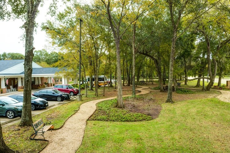 A serene park with a winding pathway surrounded by trees and greenery.