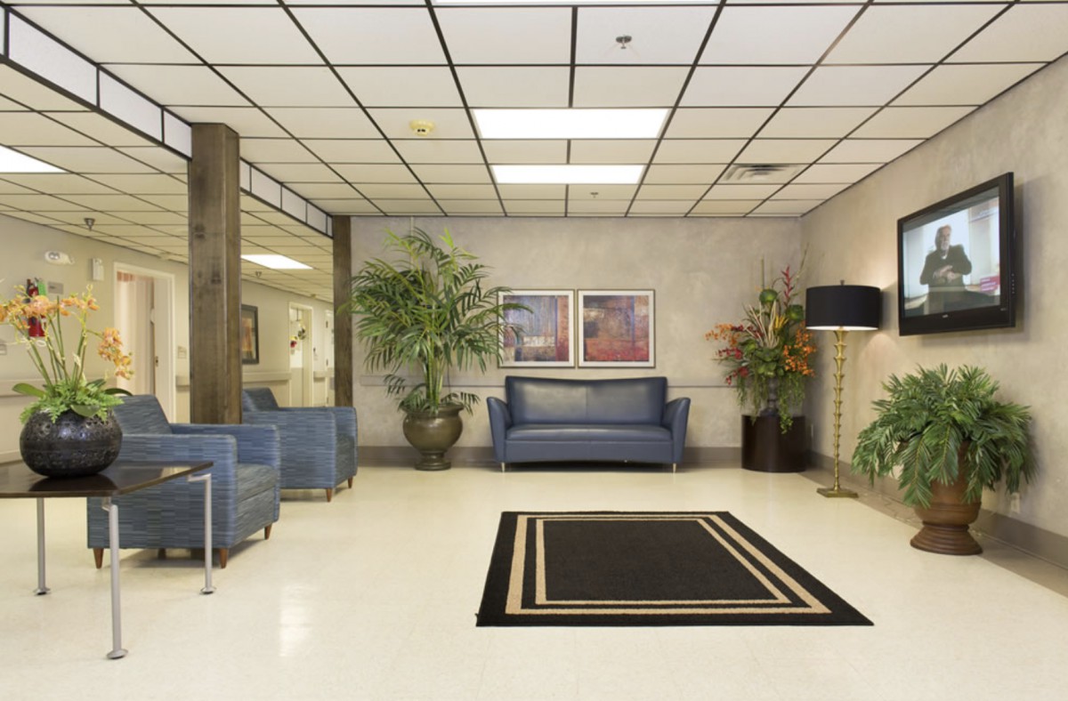 A modern lobby with comfortable seating and decorative plants.