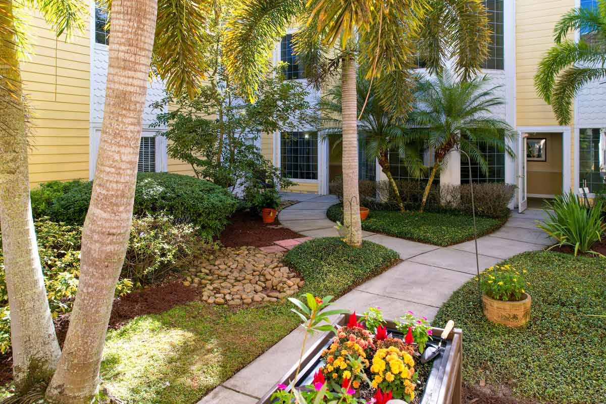 A sunny tropical garden with a pathway lined by palm trees and colorful flowers.