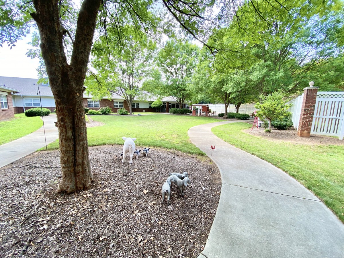 A serene park scene with dogs exploring near a tree-lined pathway.