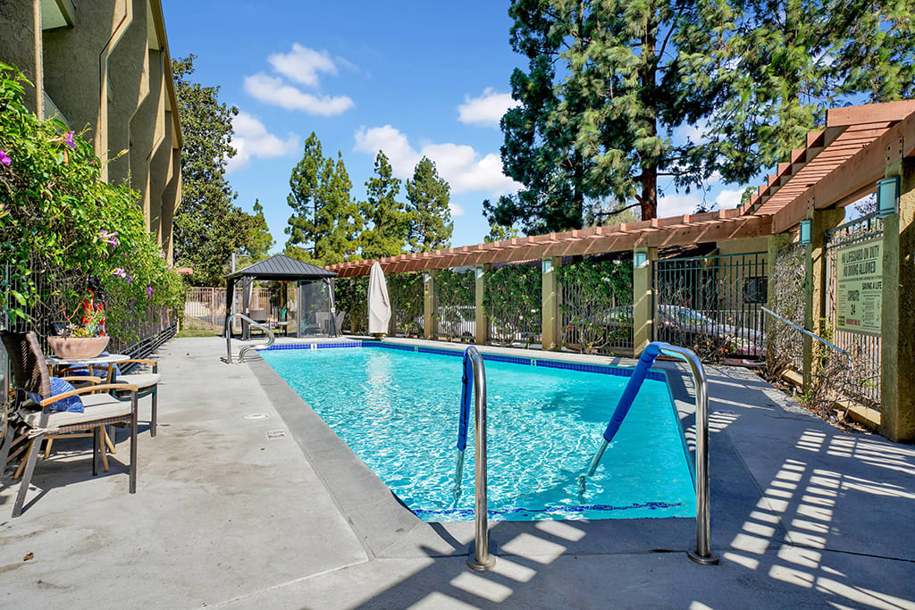 A sunny day by the outdoor swimming pool surrounded by trees and deck chairs.