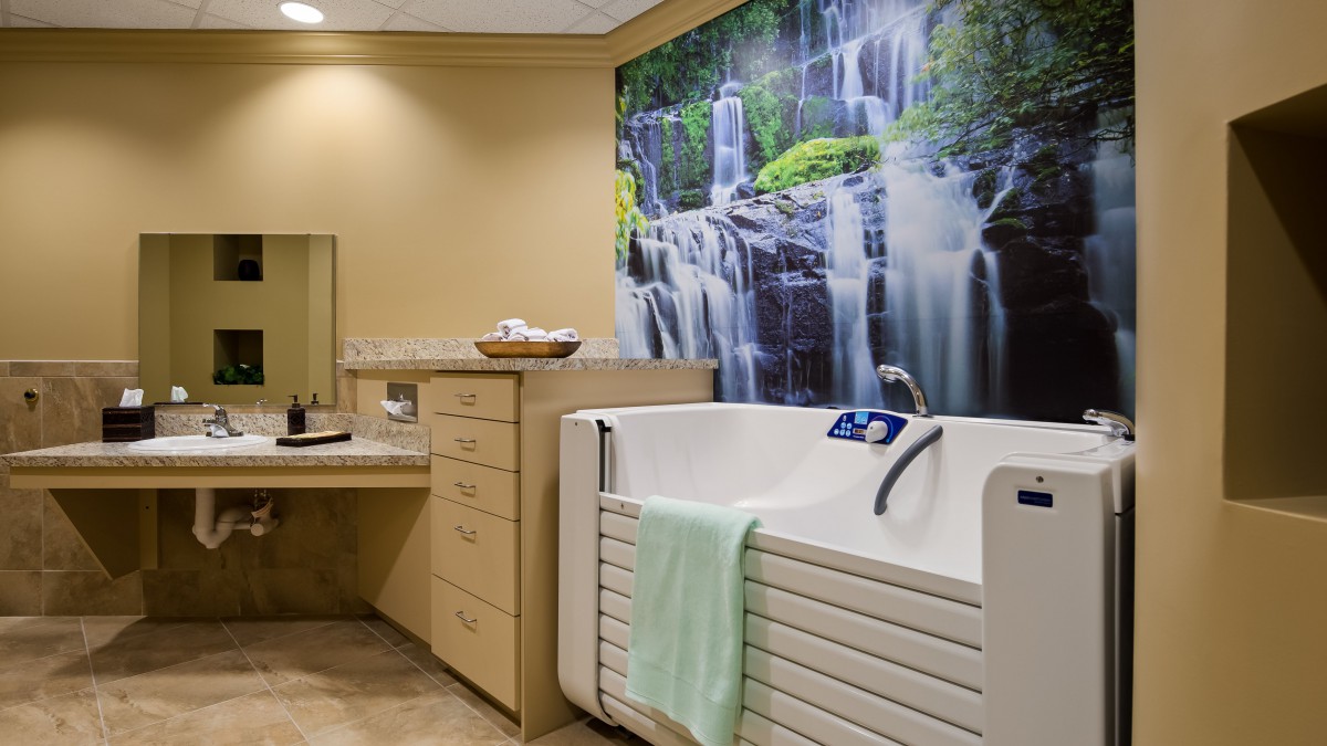 A luxurious bathroom featuring a walk-in bathtub and a stunning waterfall mural for relaxation.