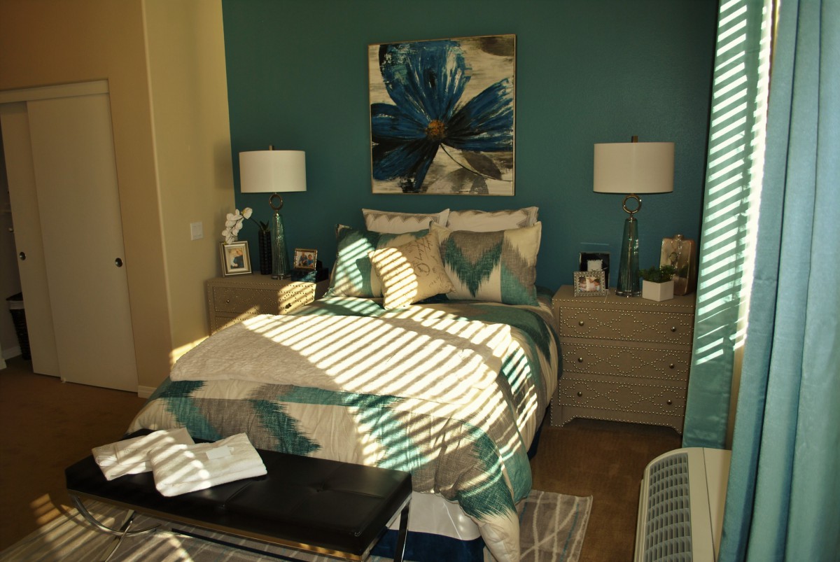 A modern bedroom with teal accent wall, patterned bedding, and sunlight streaming through blinds.