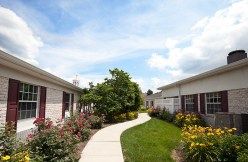 A sunny pathway flanked by buildings and a landscaped garden.