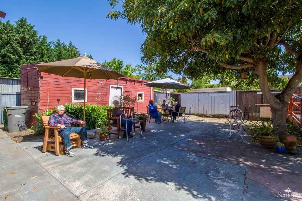 A group of people relaxing on a sunny patio with outdoor furniture and trees providing shade.