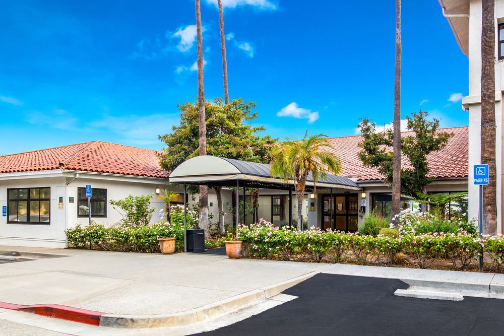 A sunny day at a building entrance surrounded by palm trees.