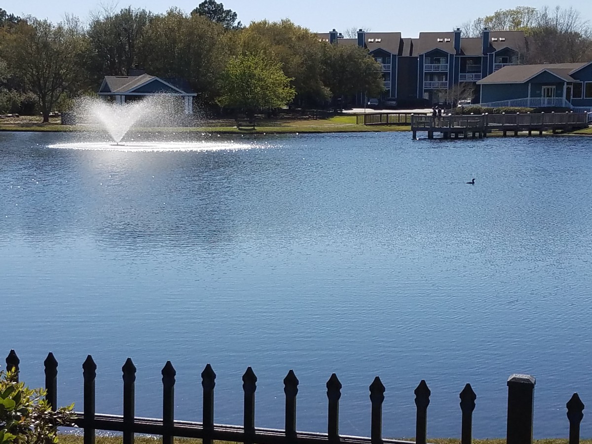 A peaceful lake scene with a fountain and surrounding buildings.