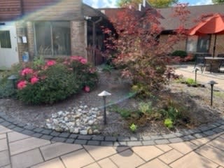 A well-maintained garden featuring a variety of plants and flowers, with a stone pathway and outdoor lighting.