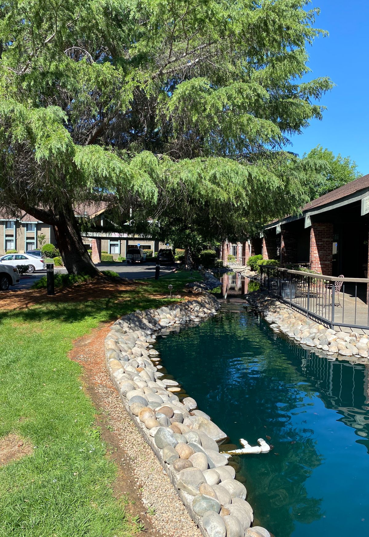 A serene pond surrounded by trees and buildings on a sunny day.