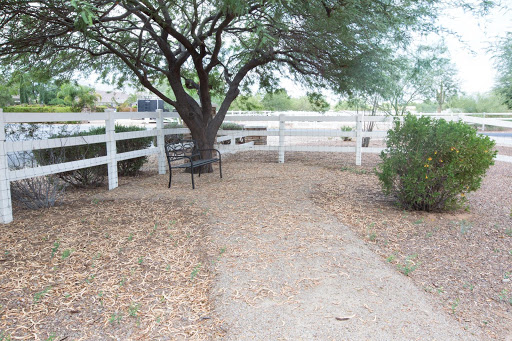 A serene outdoor setting featuring a sandy pathway, shaded by a tree and bordered by a white fence.