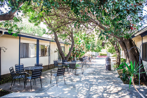 A serene outdoor space featuring a pathway lined with chairs and shaded by trees.