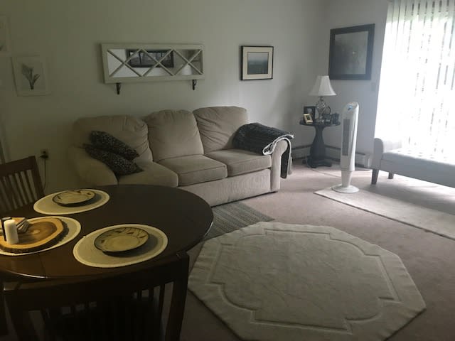 A cozy living room with a sofa, dining table set, and various pieces of decor.