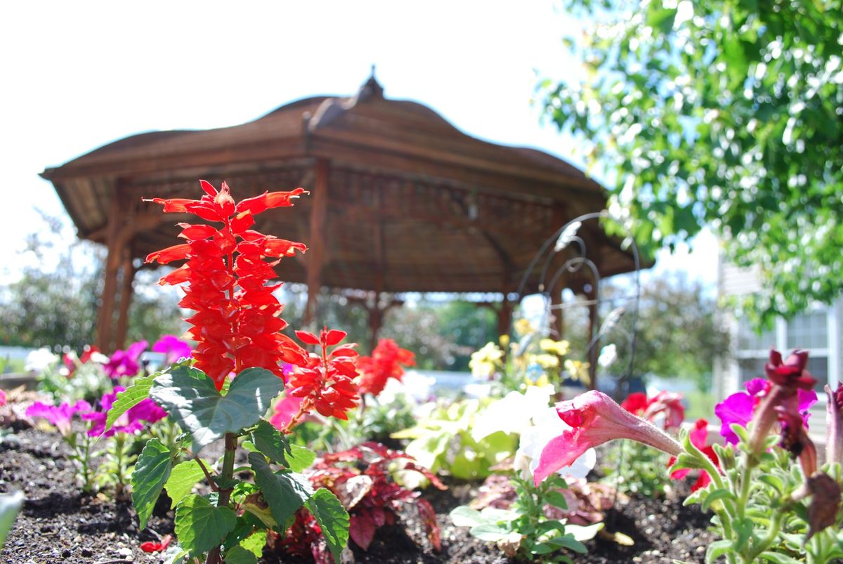 A vibrant garden with colorful flowers in front of a wooden gazebo.