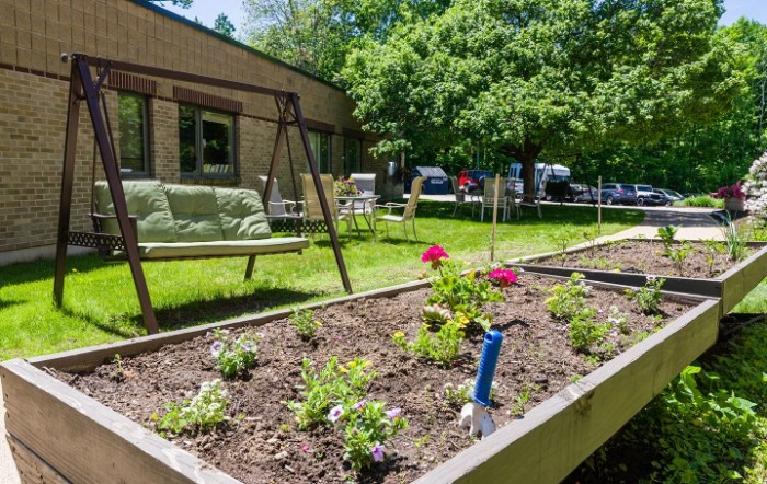 A vibrant flower bed in a sunny garden with a swing and lush greenery in the background.