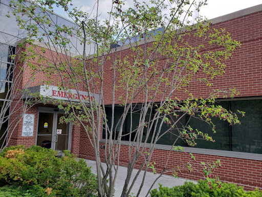 A brick building featuring large windows and a small tree in the foreground.
