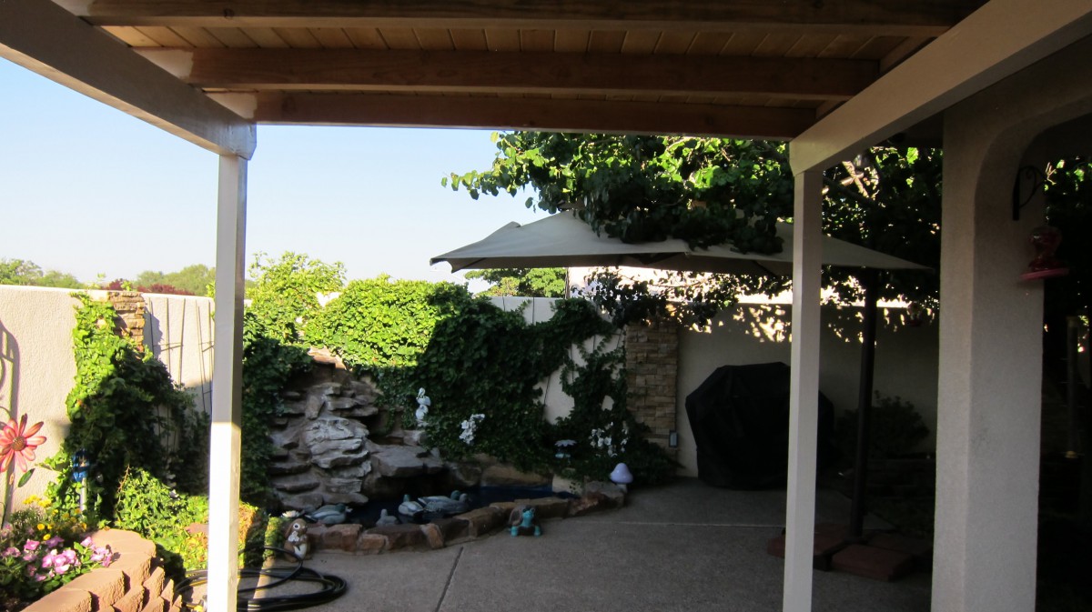 Buena Vista Senior Care