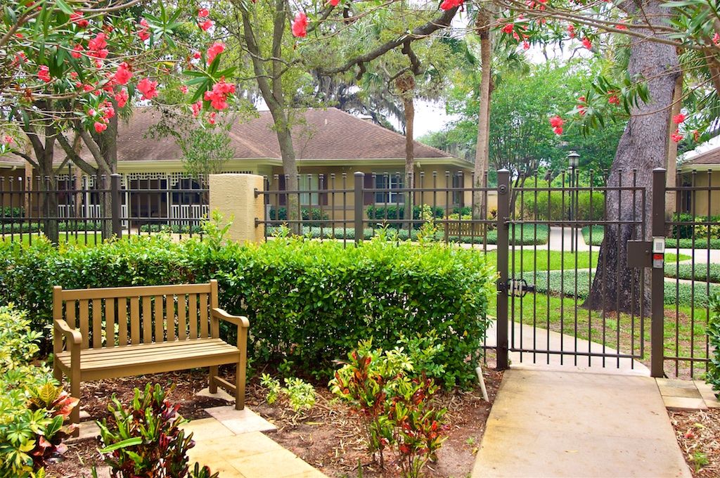 A peaceful garden area with a wooden bench, surrounded by lush greenery and colorful flowers.