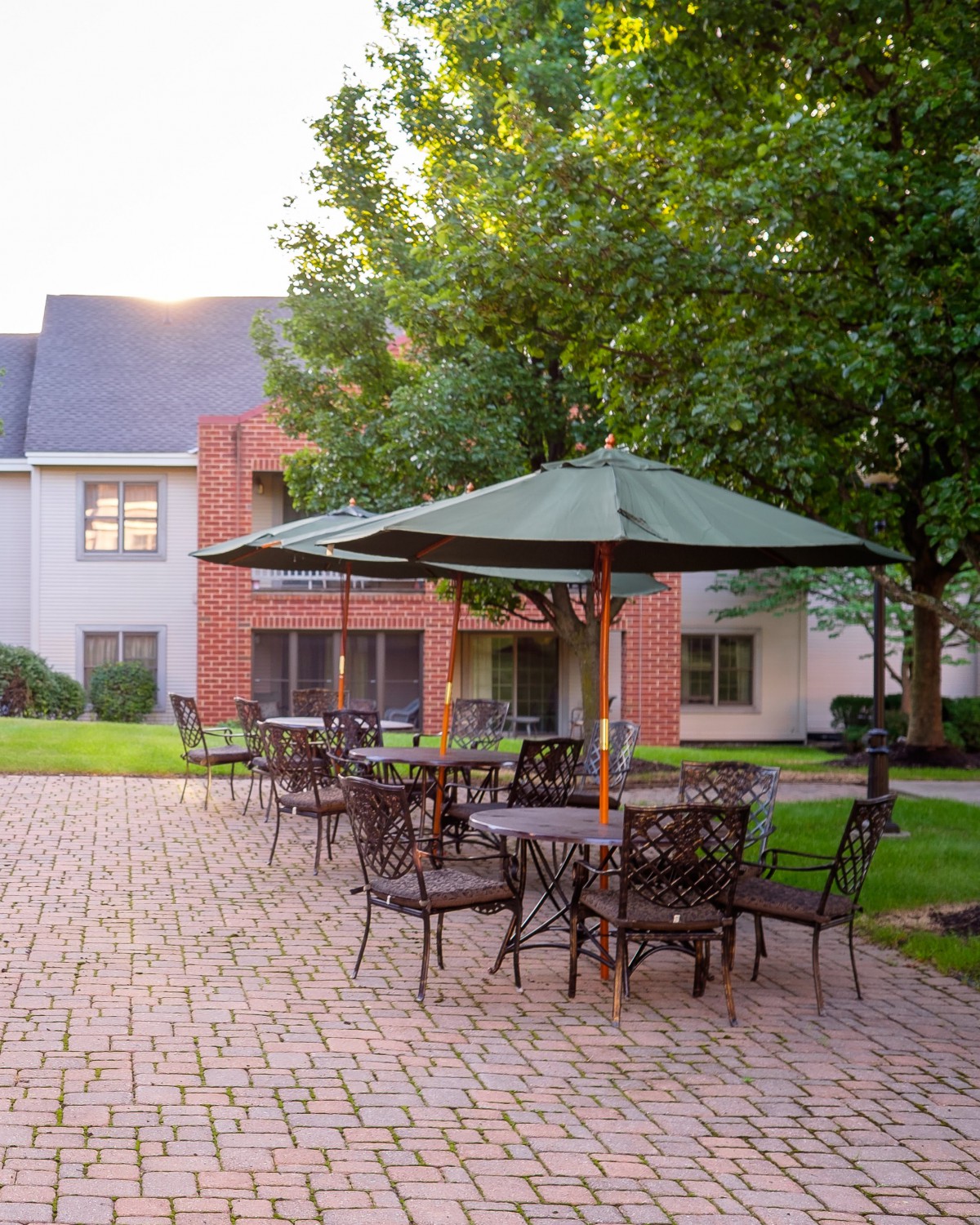 An outdoor patio area with tables and chairs under umbrellas, surrounded by greenery and a brick pathway.