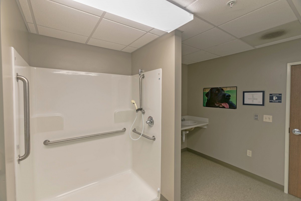 An accessible bathroom with a shower and handrails.