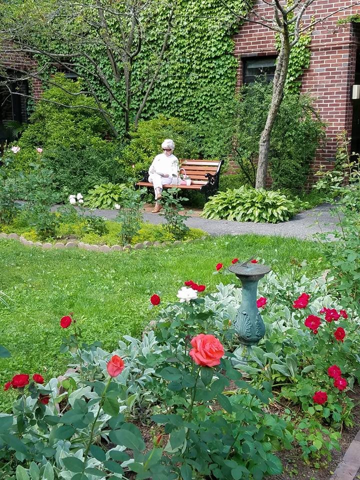 A peaceful garden scene with a person sitting on a bench surrounded by lush greenery and blooming roses.