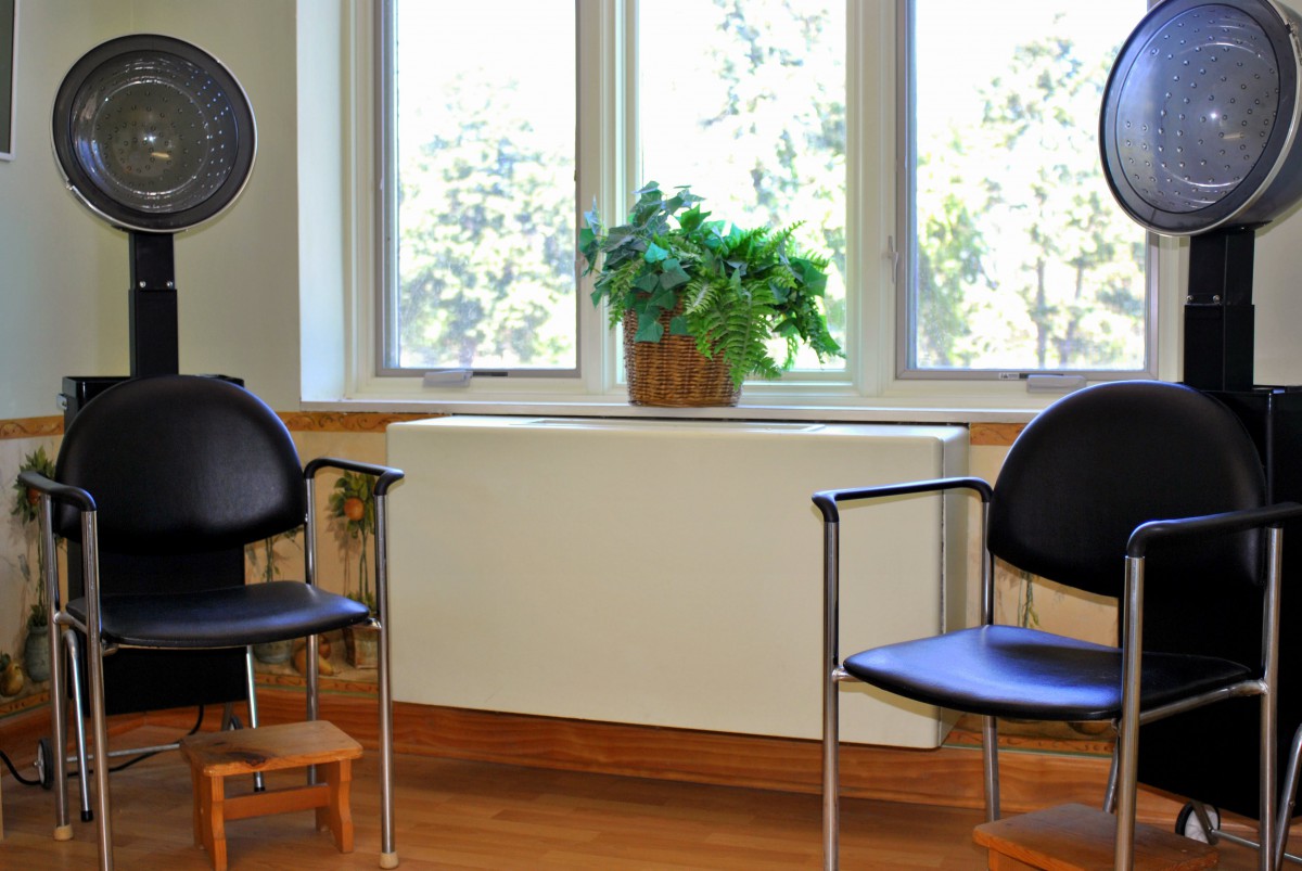 A waiting area with two chairs, a potted plant, and large windows.