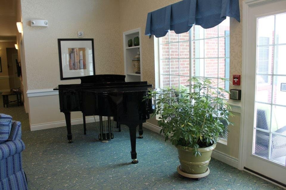 A grand piano in a well-lit room with a large window and a potted plant.