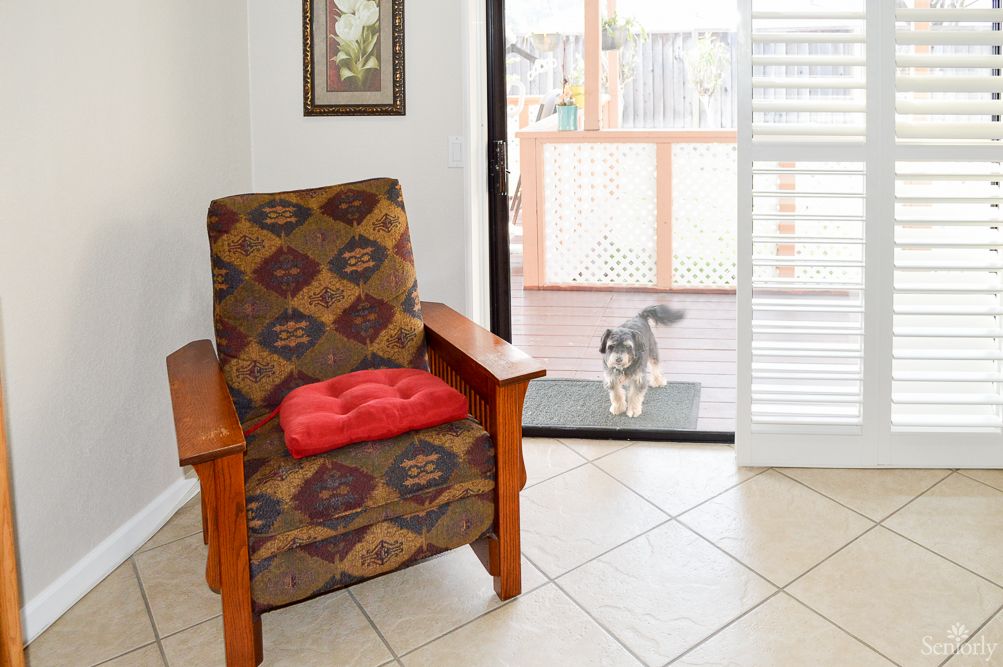 A cozy armchair with a red cushion sits inside near a sliding patio door, where a cat is visible outside.