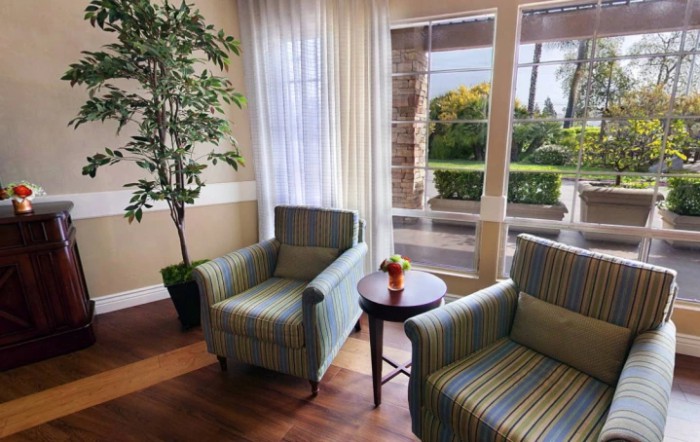 A cozy living room corner with two striped armchairs, a small round table, and an indoor plant, bathed in natural light from large windows.