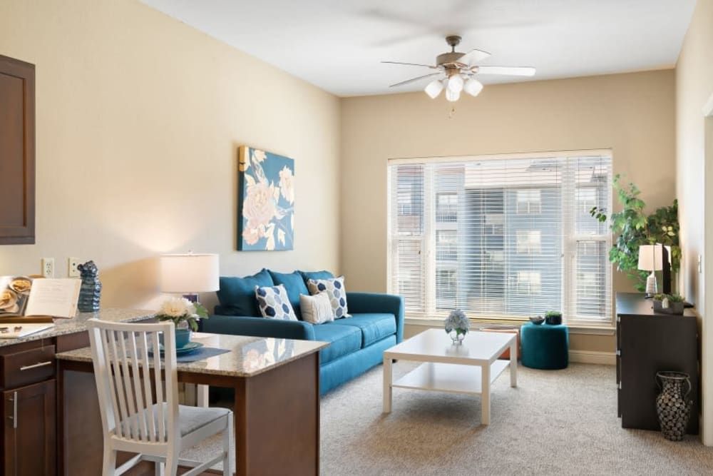 A cozy living room with a blue sofa, coffee table, and ample natural light.