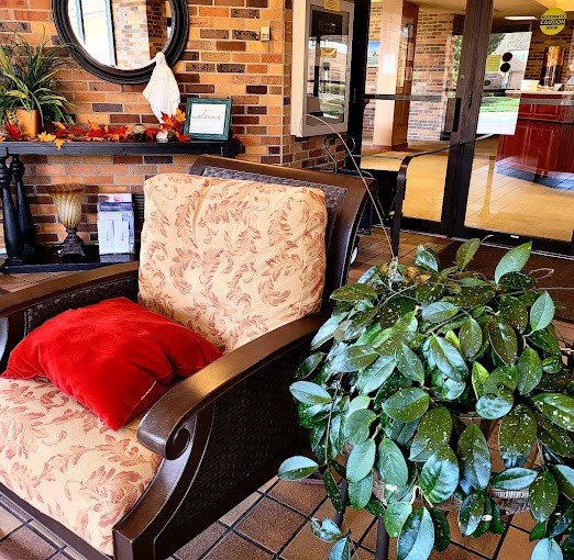 A cozy interior with a cushioned chair, decorative mirror, and lush plants against a brick wall.