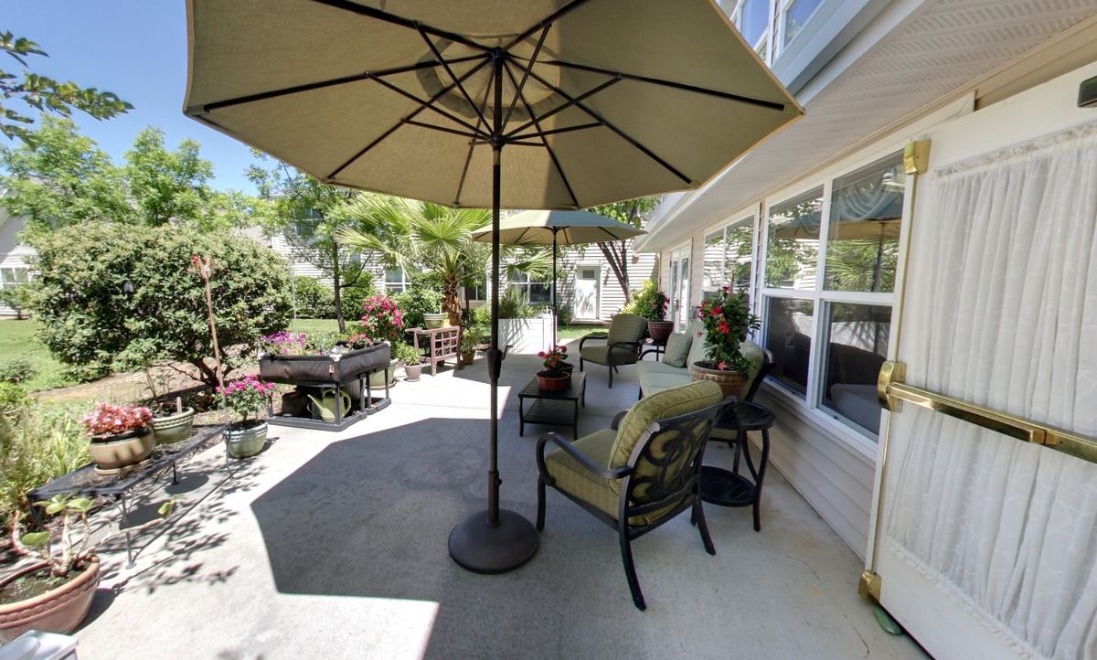 A sunny patio with comfortable outdoor furniture and a large umbrella surrounded by plants.