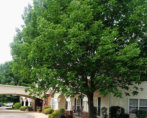 A lush green tree standing next to a building, showcasing the beauty of nature.