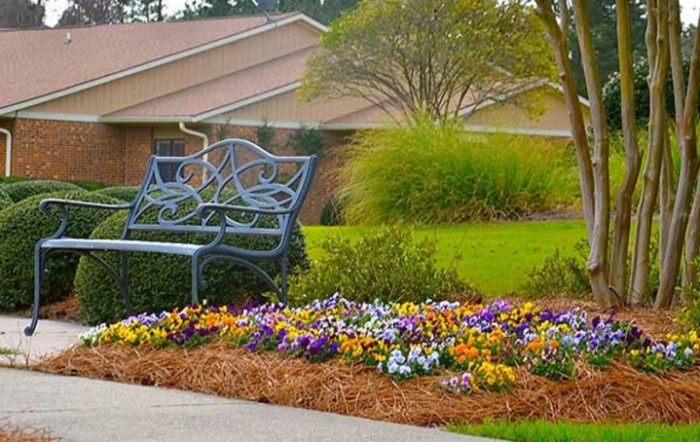 A well-maintained garden with colorful flowers and a decorative metal bench.