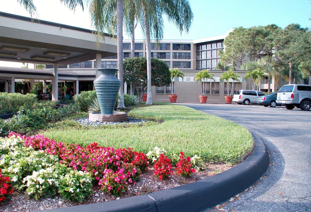 The entrance of a hotel with palm trees and colorful flowers enhancing the landscape.