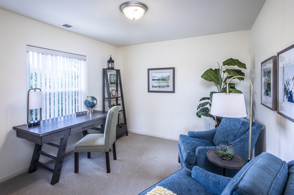 A cozy home office with a desk, chair, and indoor plant.