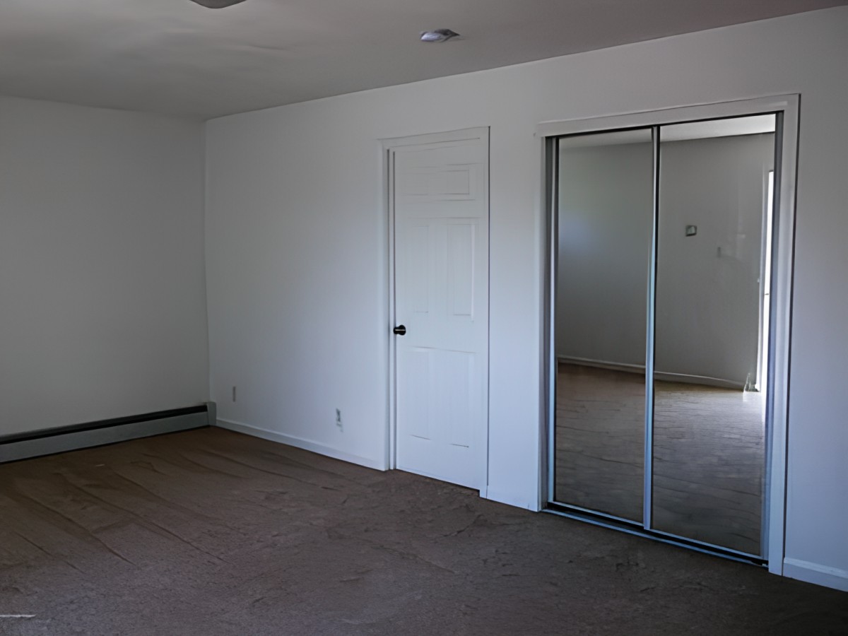 An empty room with white walls, a carpeted floor, and a mirrored closet door.
