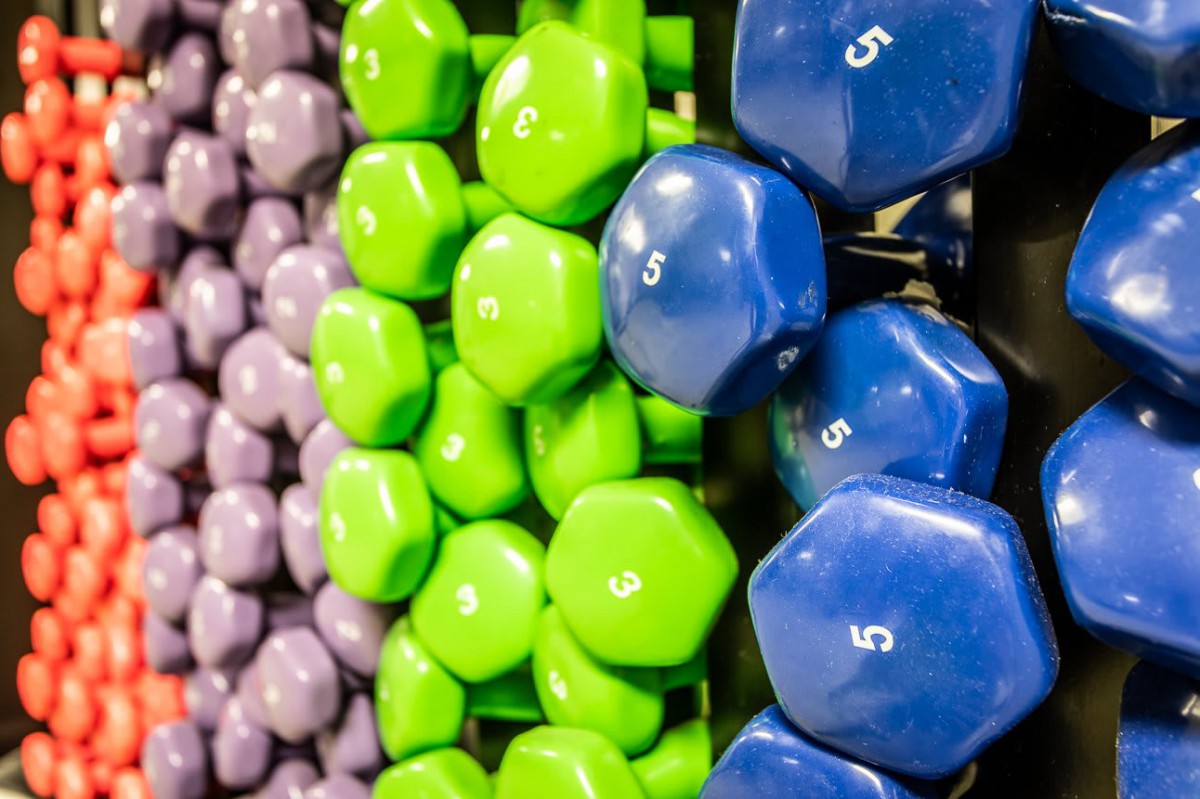 A variety of colorful dumbbells neatly arranged on a rack.