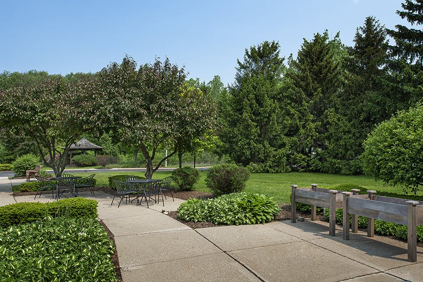 A peaceful park setting with lush greenery, a paved pathway, benches, and tall trees.