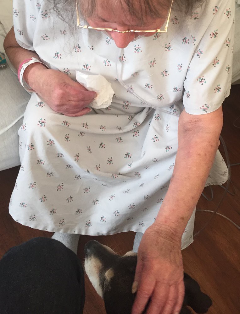 An elderly person in a hospital gown interacting with a dog.