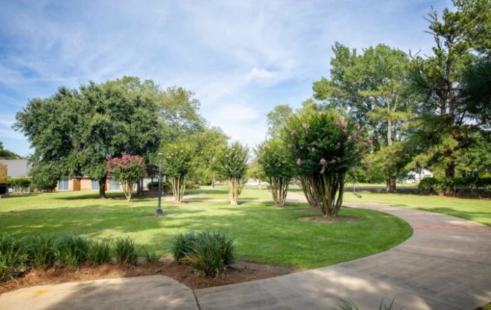 A tranquil park scene with lush greenery and a winding pathway on a sunny day.