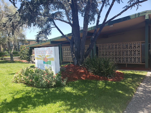 A sunny day view of a landscaped building exterior with a prominent tree and signage.