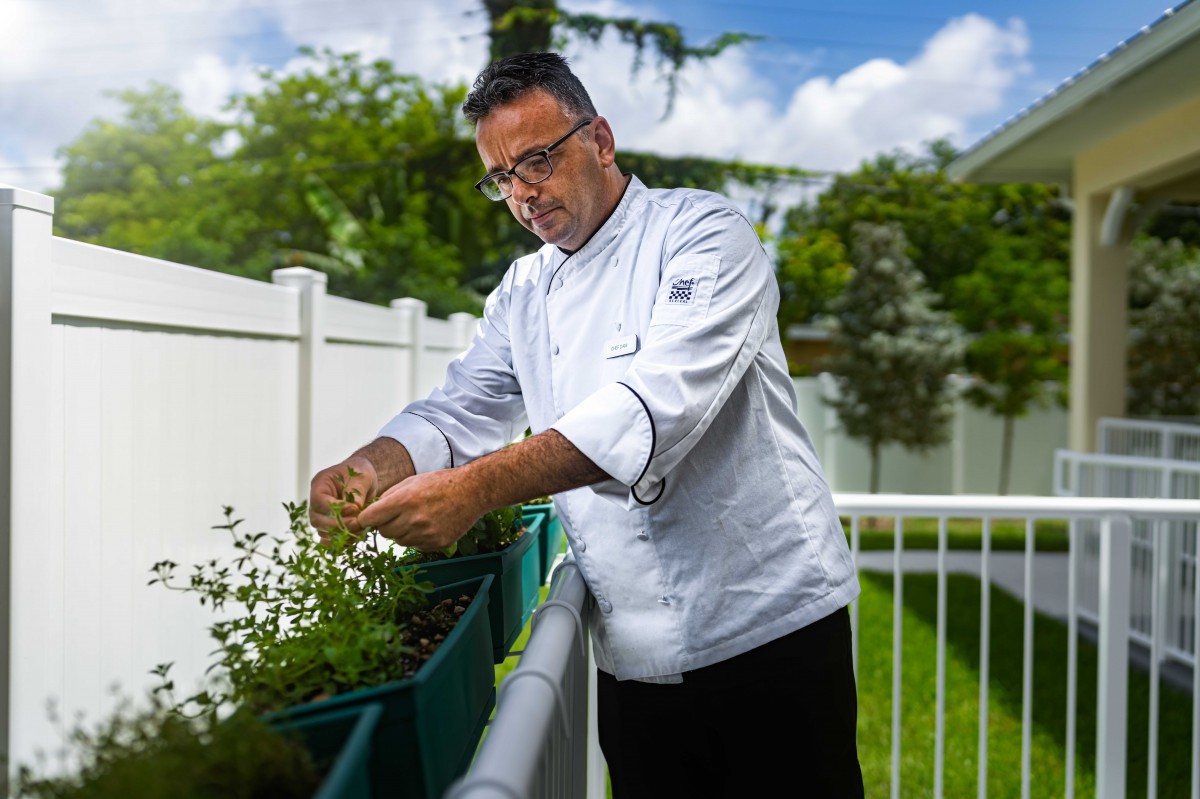 A chef in a white uniform is tending to herbs in a garden on a sunny day.