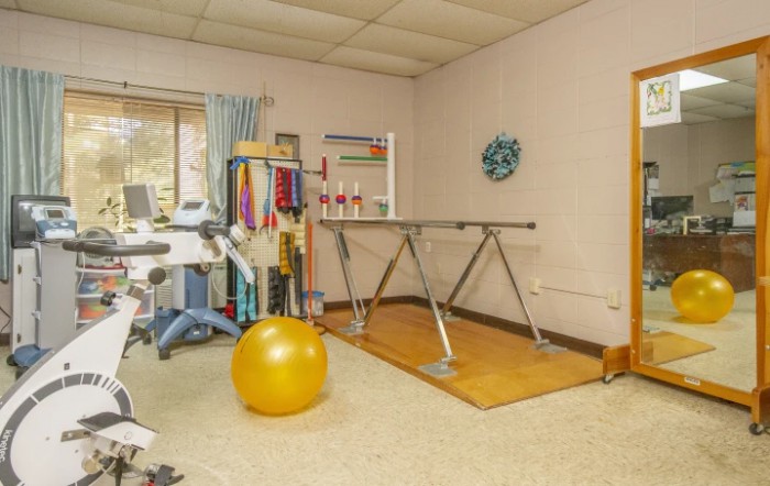 A physical therapy room equipped with parallel bars and an exercise ball.