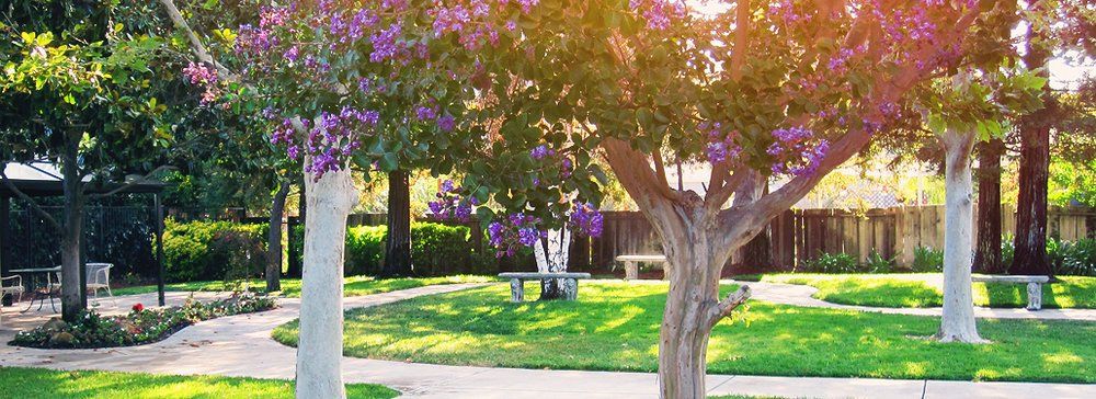Livermore Valley Senior Care