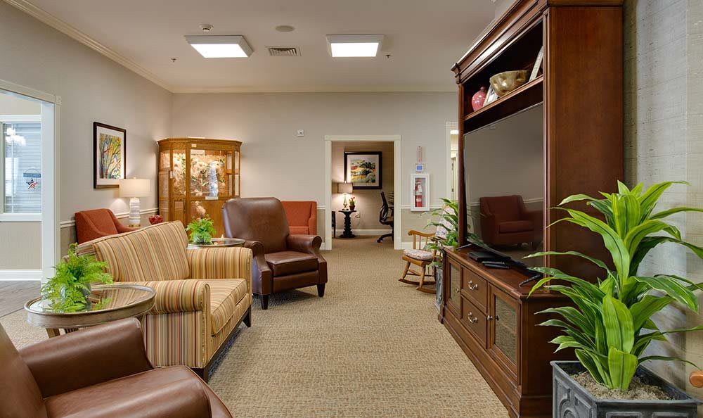 A cozy living room with comfortable seating, a TV cabinet, and decorative elements.