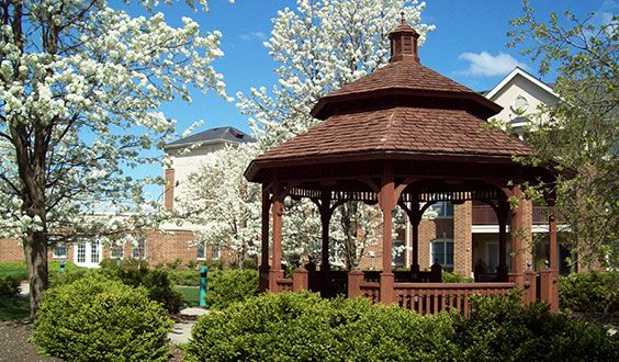 A picturesque gazebo surrounded by blossoming trees on a clear, sunny day.