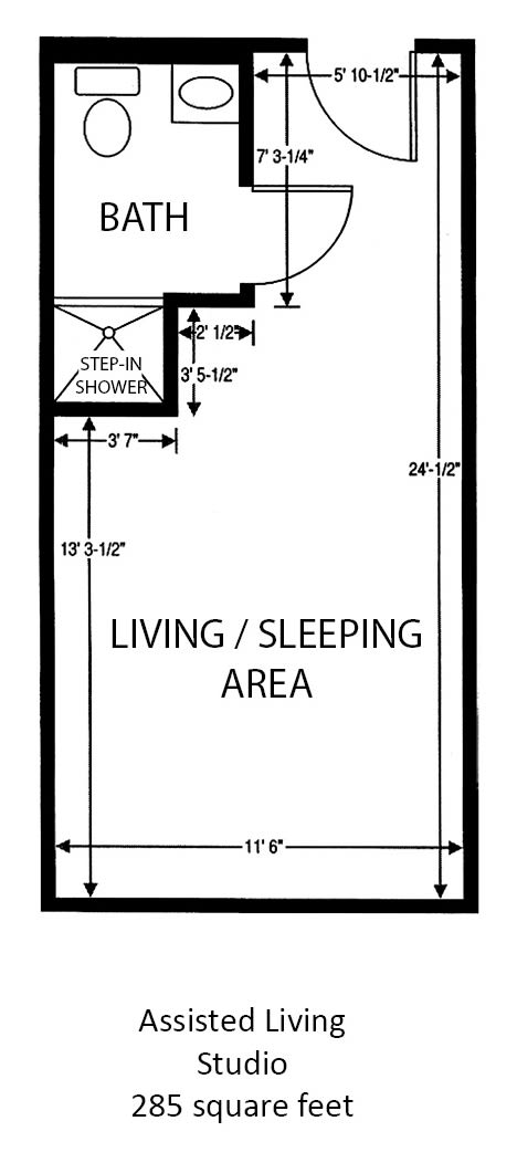 Floor plan layout for a living and sleeping area with a step-in shower.