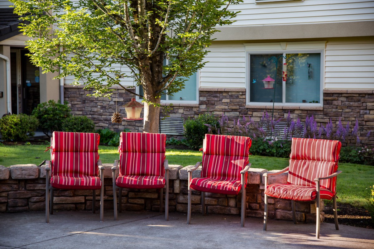 A row of red cushioned chairs arranged neatly on a patio in a backyard setting.
